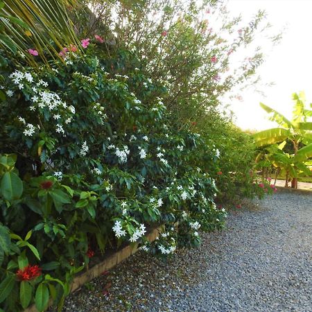 Sheba Cottages - Diani Beach Dış mekan fotoğraf