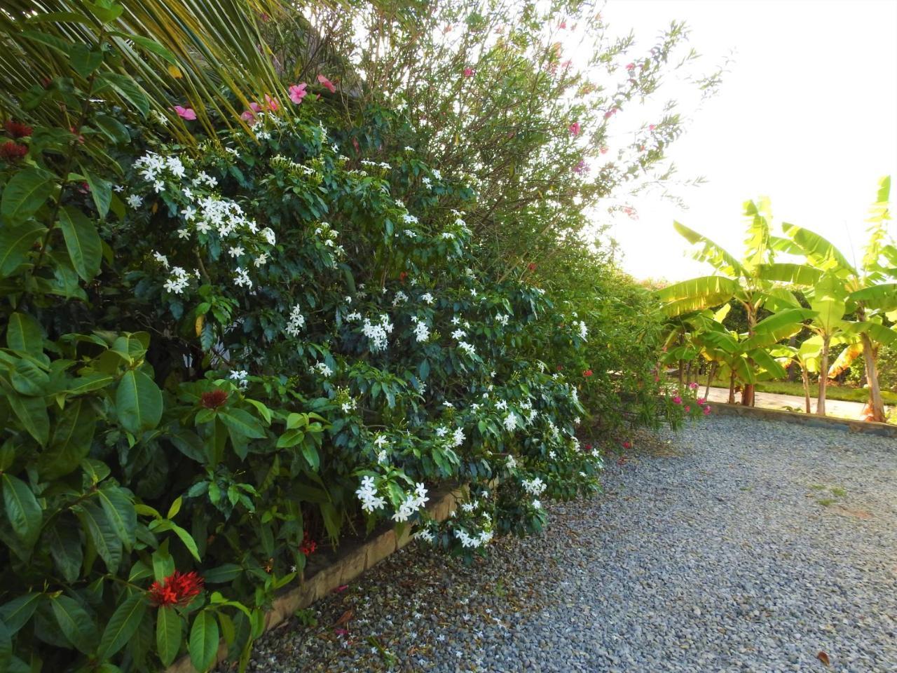 Sheba Cottages - Diani Beach Dış mekan fotoğraf