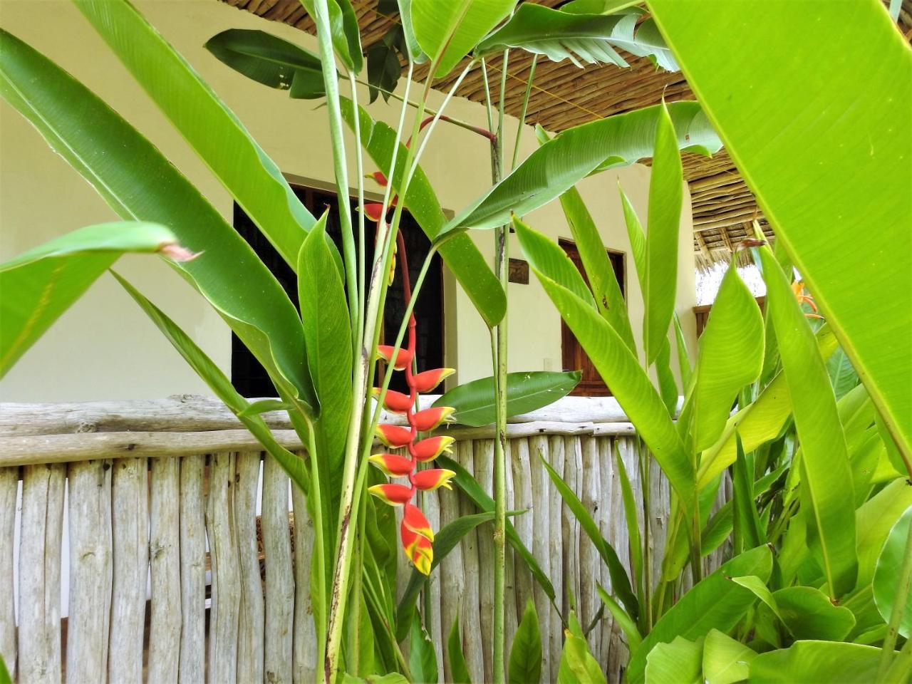 Sheba Cottages - Diani Beach Dış mekan fotoğraf